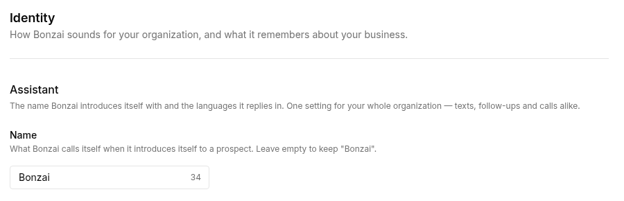 The Identity page with the assistant Name field